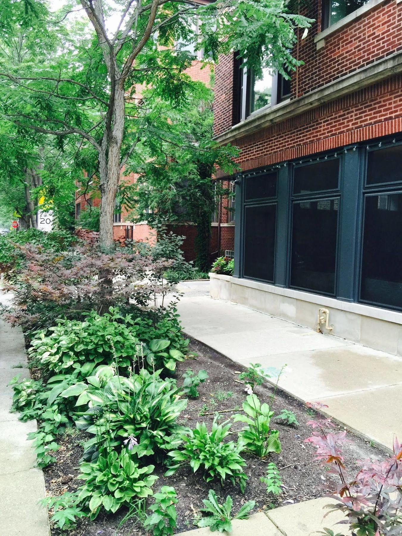 House 5863- Chicago'S Premier Bed And Breakfast エクステリア 写真